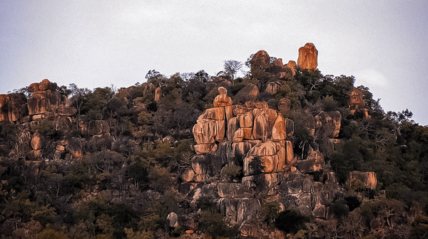Room for Cattle and Wildlife (8-minute Video)