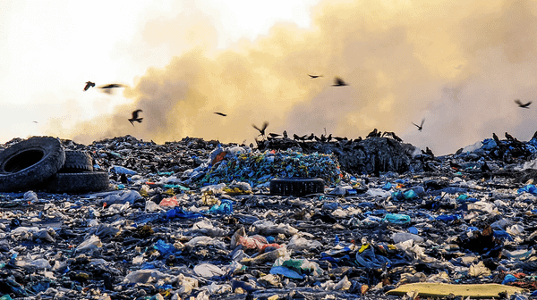 Declaration Deceptions or the Art of Grandiloquence While Rome Burns