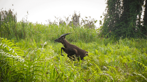 Islands of the Gods (6-minute Video)