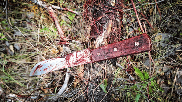 Fighting on Fumes: The Issue of Funding (6-minute Video)