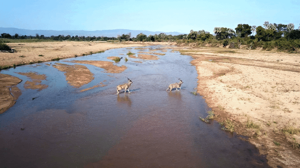 Photo Essay: Humani, The Save Valley Conservancy