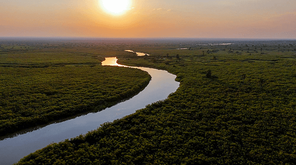 The Pull of Purpose (4-minute Video)