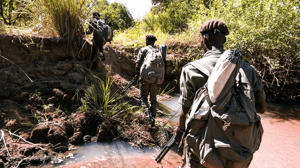 The Enforcement Trap