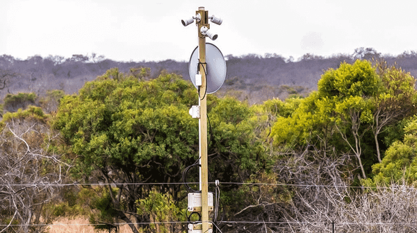 Wired for Wildlife, Watched by Default