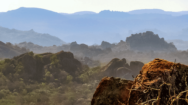 Wilderness Reborn (Full Documentary, 23 minutes)