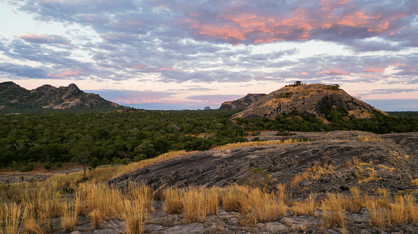 From "Endangered Species" to "Endangered Spaces": An Evolution in Conservation Thinking
