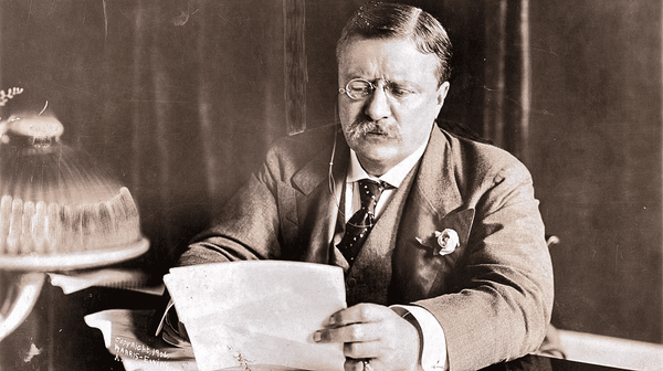 Protection Through Decree: A Flaw in Roosevelt’s Thinking?