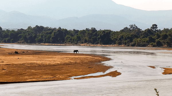 Reviving the Luangwa: The Empty Valley and the Deal (6-minute Video)