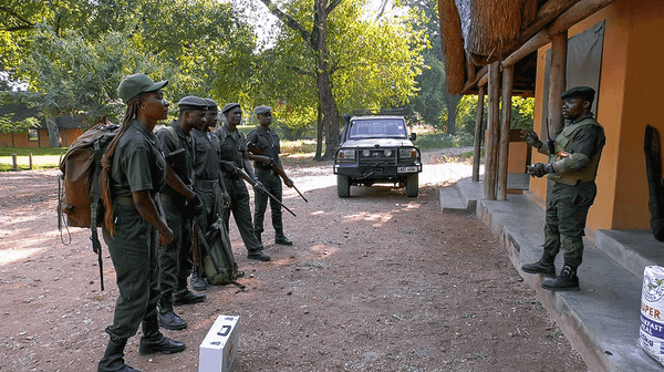 Reviving the Luangwa: Roads, Water, Animals (5-minute Video)