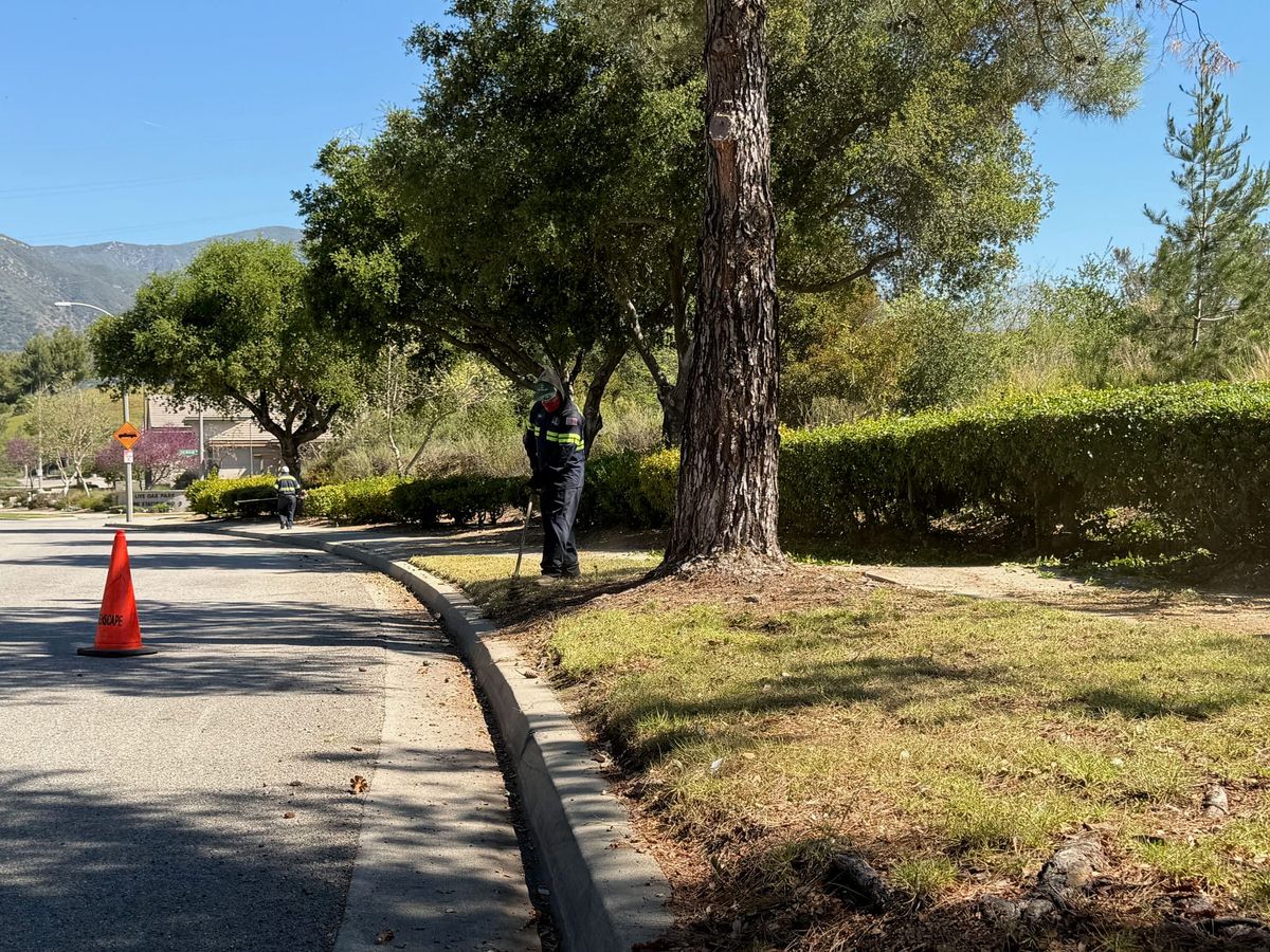La Verne's Landscape Districts Face Rising Costs, Possible Rate Adjustments Ahead