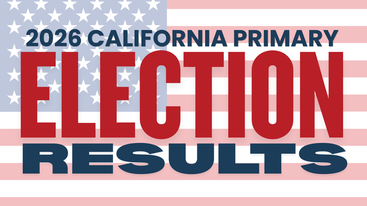 Local Election Results at a Glance