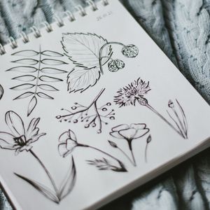 I Can’t Draw a Vagina