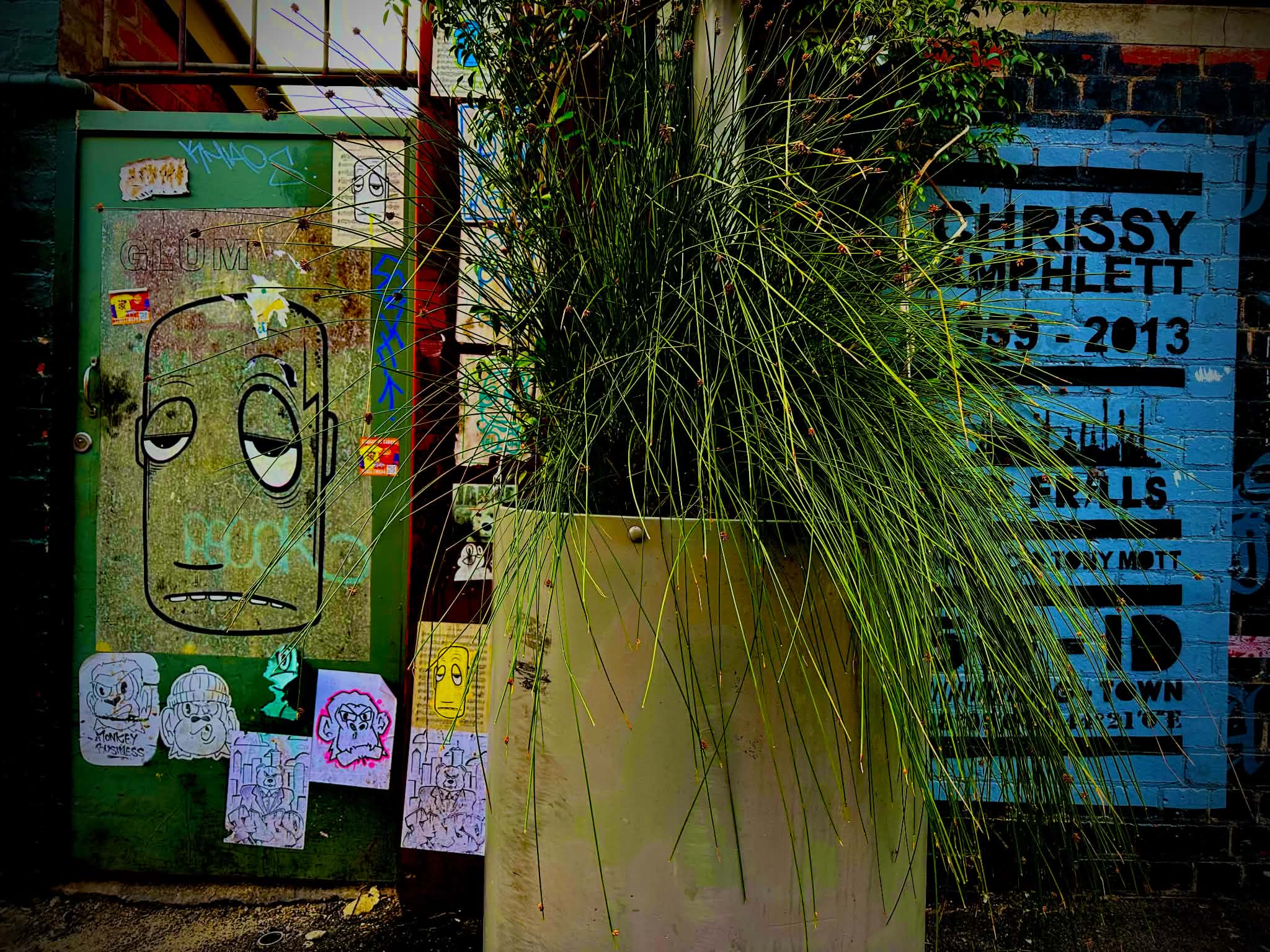 A green door and blue brick wall covered with graffiti, paste-ups and faded lettering, partly obscured by a large planter of long green stems at 1 Denny’s Place.