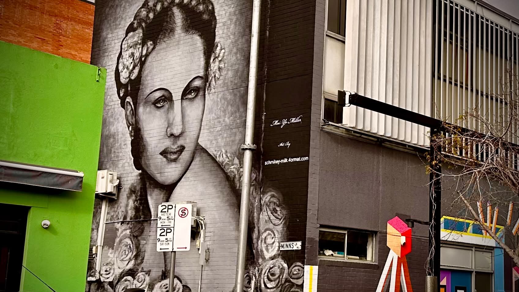 Minns Lane in central Geelong, with a black-and-white mural of a woman, bright green walls, winter branches and colourful public art.