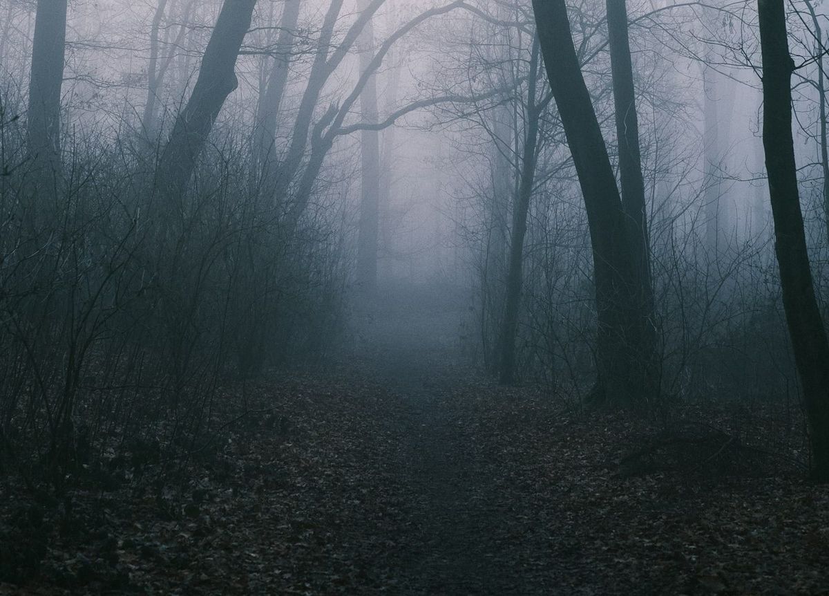 A misty forest path disappearing into fog
