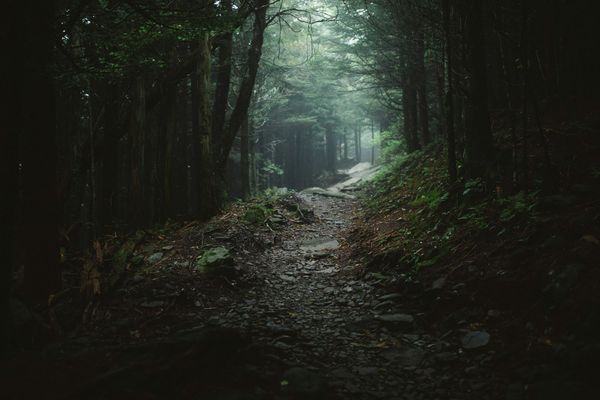 A narrow trail climbing through dark, misty conifer forest