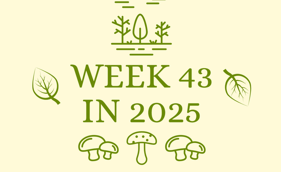 Swedish news, week 43 in 2025