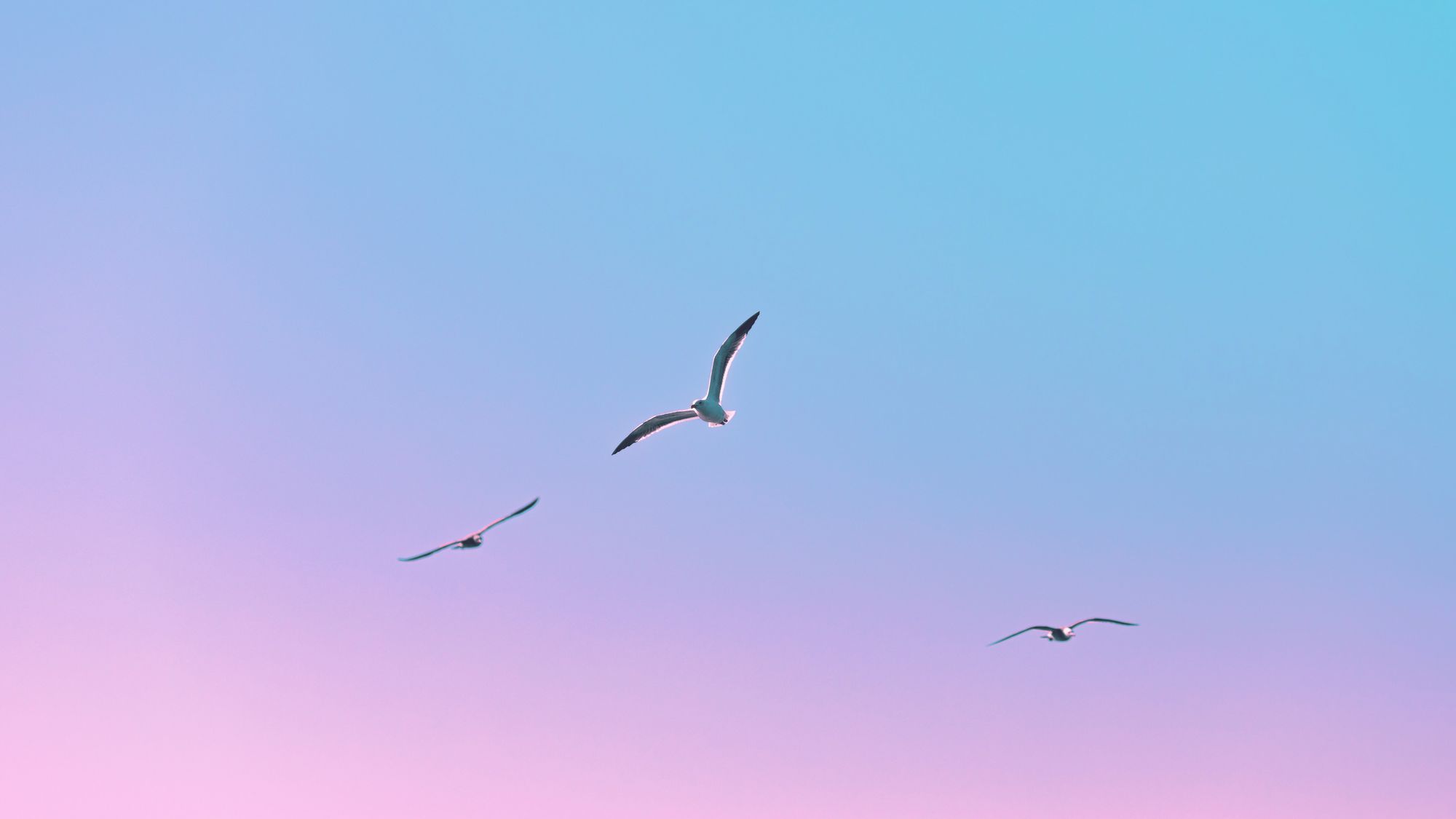 NEW: Real-time collaboration