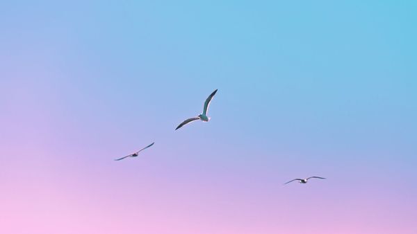 NEW: Real-time collaboration