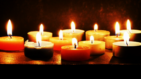 Tributes on the Tree of Remembrance 2025