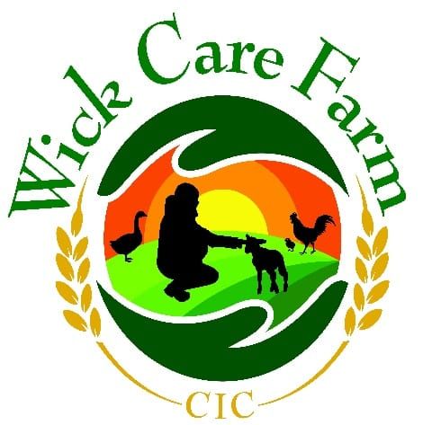 Lynne Raymer's Diamond Challenge