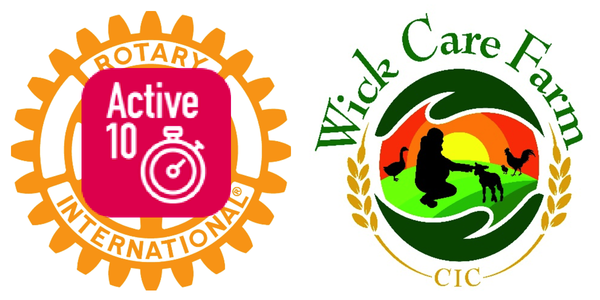 💎 Lynne’s Diamond Challenge – Completed! 💎