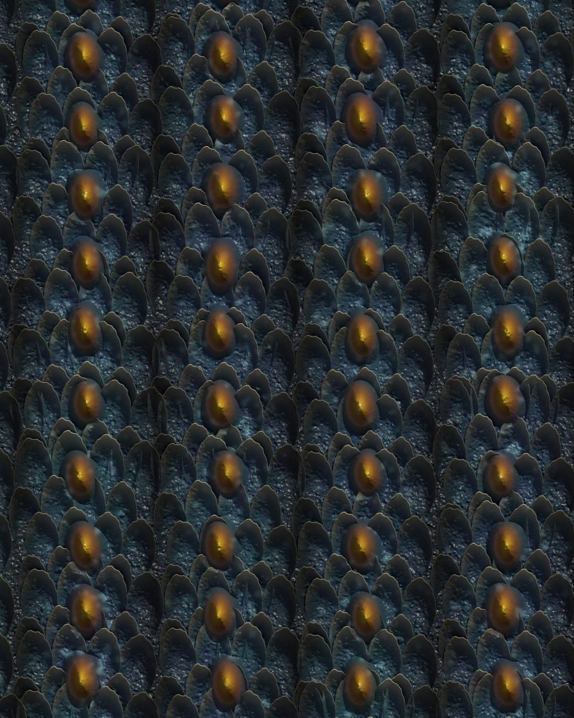 Hannon - Dragon Skin