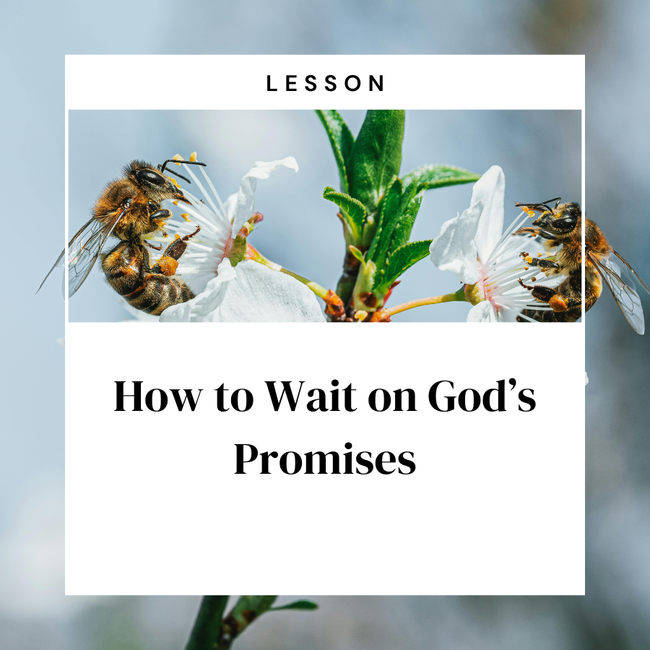 How to Wait on God's Promises - Lesson