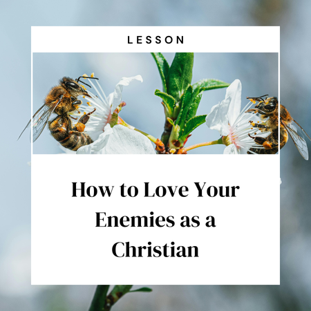 Image of: How to To Love Your Enemies as a Christian | Lesson