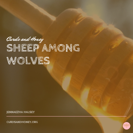 Image of: Sheep Among Wolves