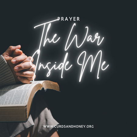 Image of: The War Inside Me