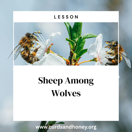 Image of: Sheep Among Wolves - Lesson