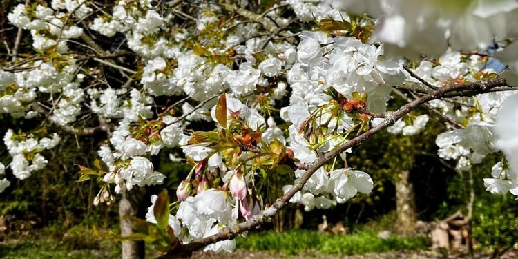 🔶 #60: This is a newsletter about money.