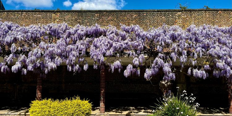 🔶 #63: The Circulator Model