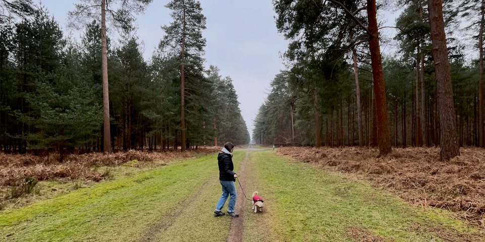 🔶 #07: "The future of journalism isn't AI. It's the audience."