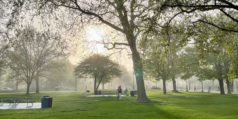 🔶 #22: "What if the future of local journalism was more playful?"