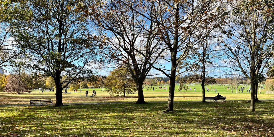 🔶 #41: "A system for mapping, curating, and distributing civic information at scale."