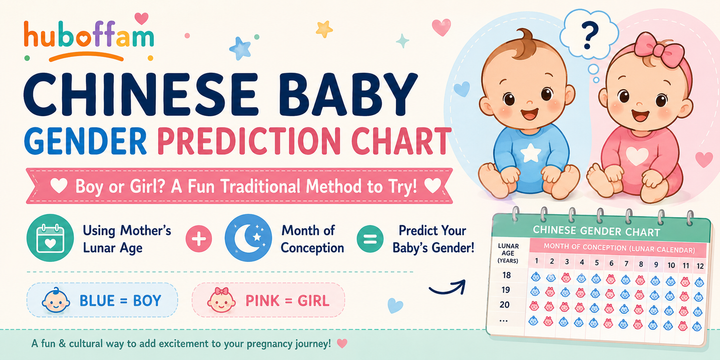 Chinese Baby Gender Prediction Chart: Boy or Girl? A Fun Traditional Method to Try