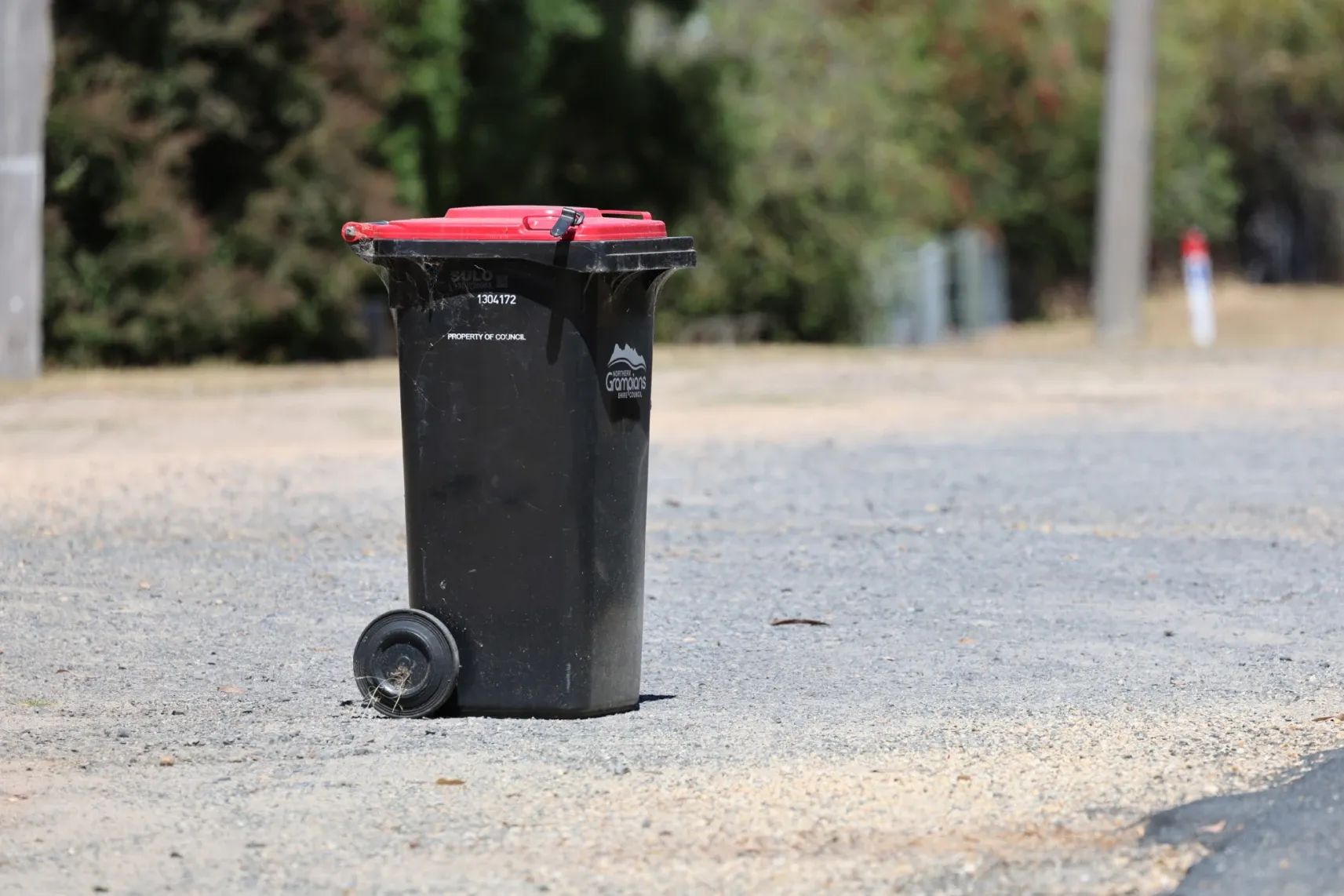 Bins, wildlife and short-stay rentals put pressure on Halls Gap’s image