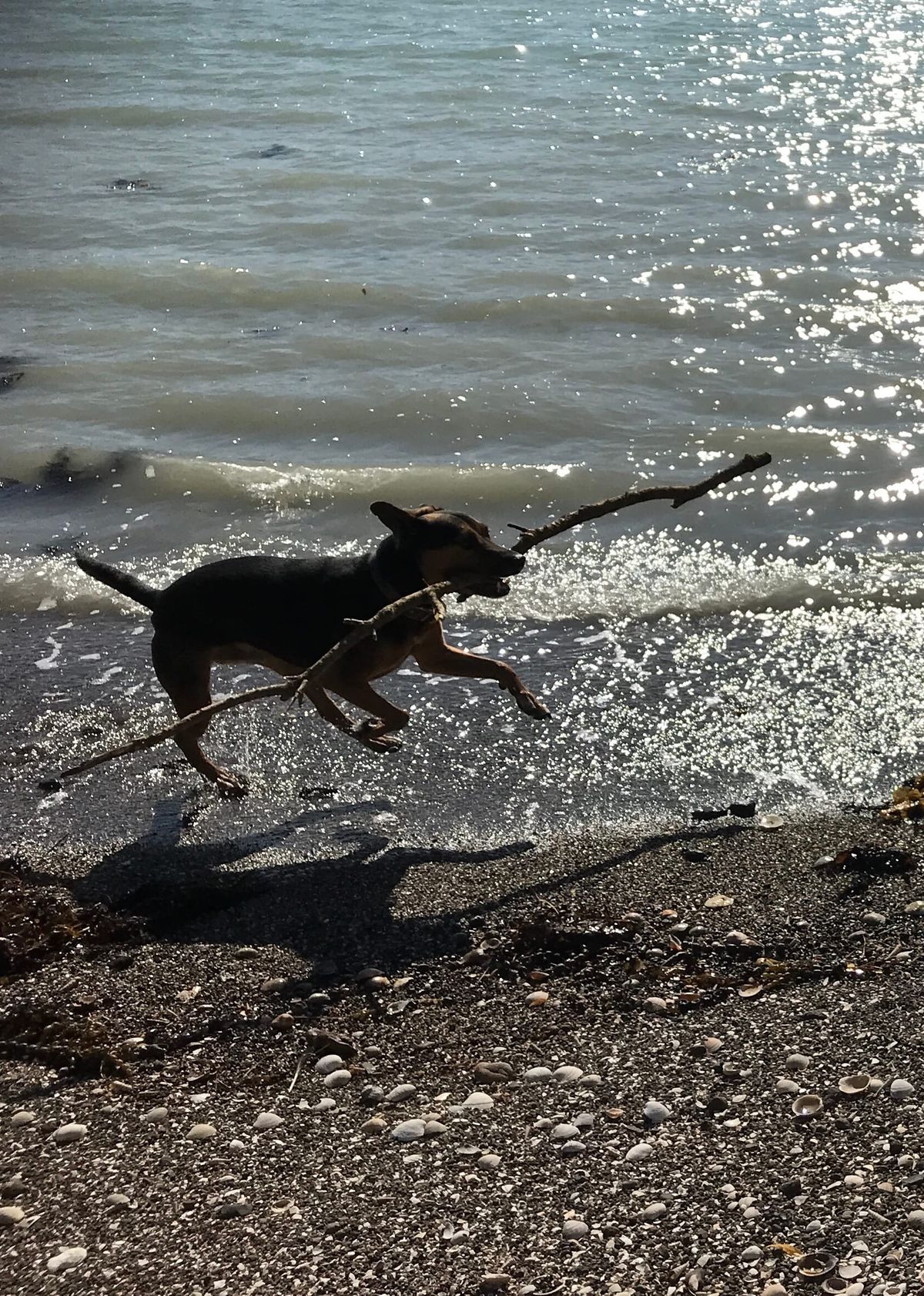 4. Leaping into the unknown