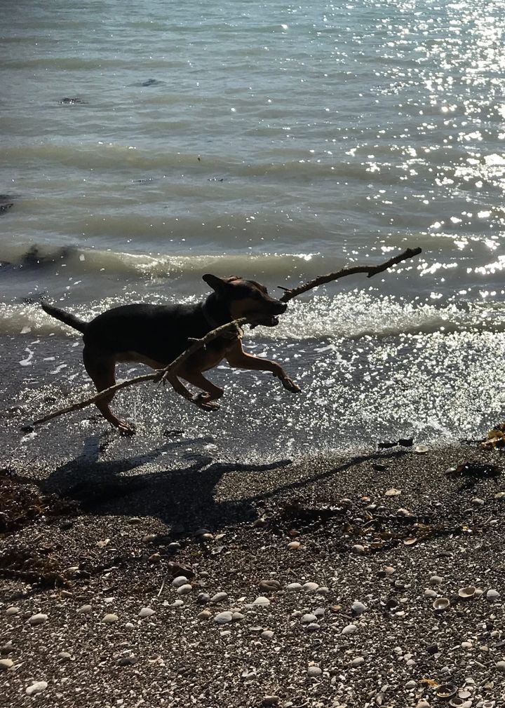 4. Leaping into the unknown