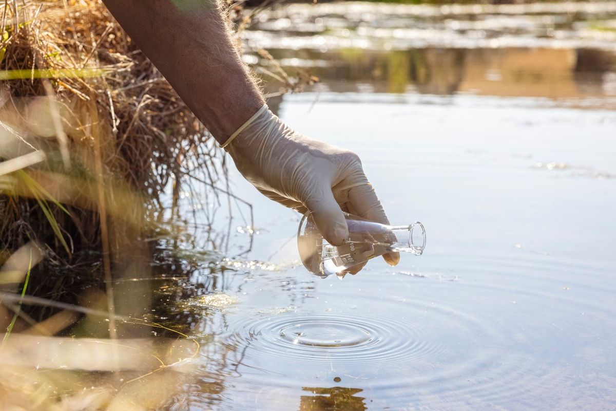 Chemical Pollution: A Threat to Global Health and Ecosystems