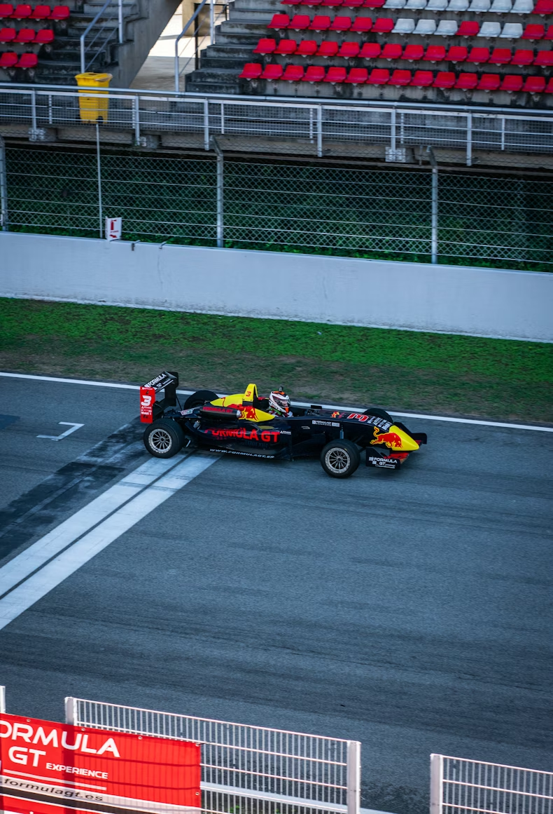 The Pinnacle of Motorsport: F1's Sustainable Future