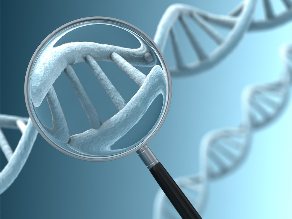 Gene Editing in Focus