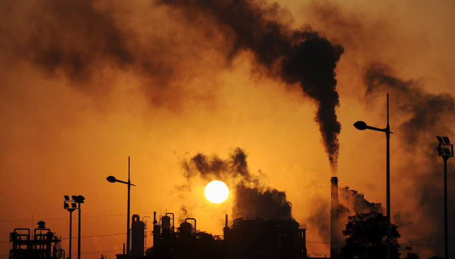 Cow Farts, Climate Change, and Coffee: The Unexpected Connection