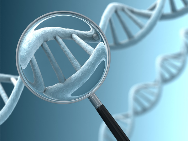 Gene Editing in Focus