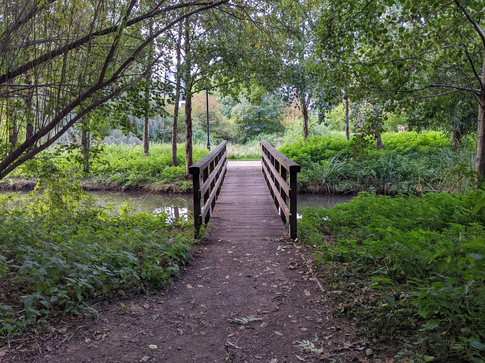 Poton bois, arbres, ruisseau
