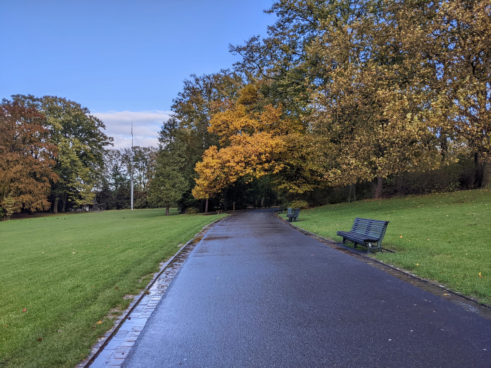 Allée asphalté, banc de parc, arbre, feuille jaune automne, ciel bleu
