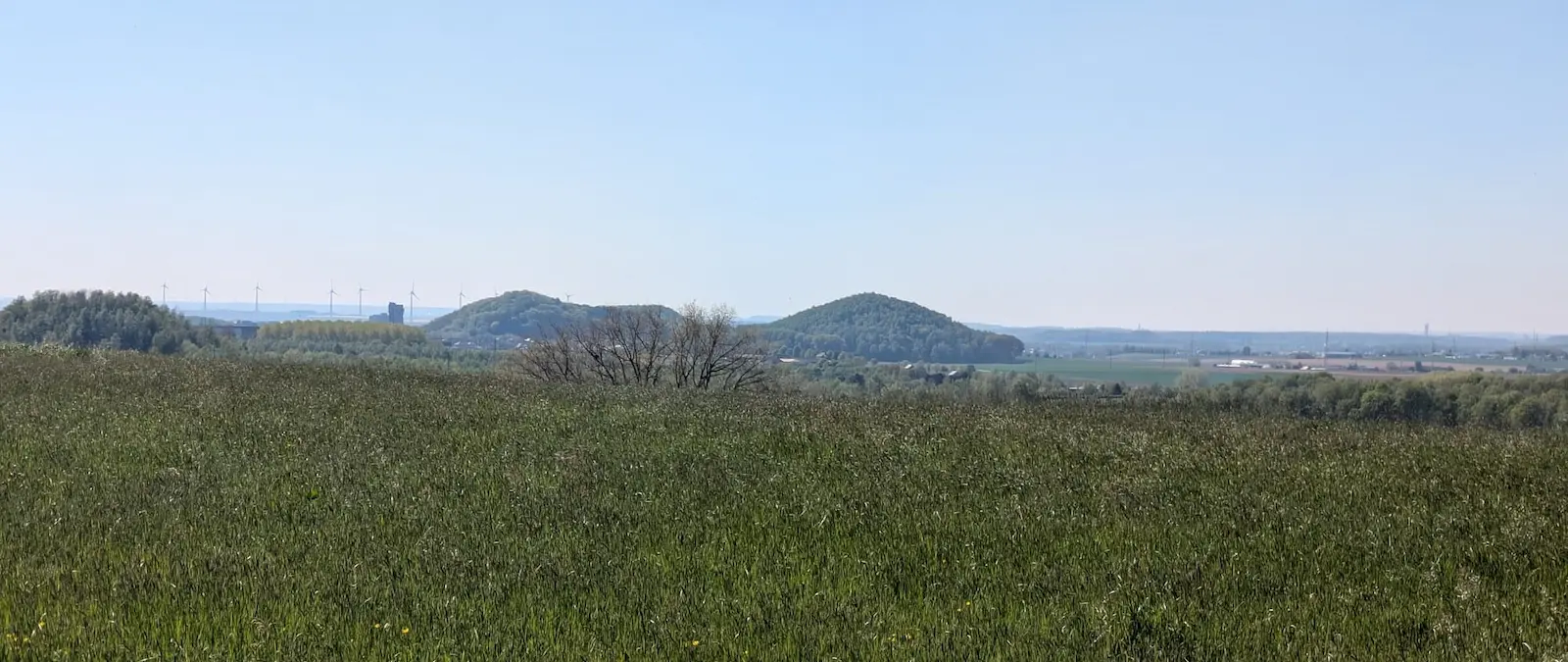Prairie verte sous un ciel bleu, collines au loin et éoliennes, paysage calme et lumineux.