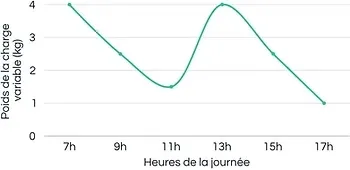 Graphique présentant l'évolution de la charge variable au cours d'une journée d'un trail en itinérance